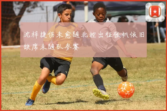 沈梓捷伤未愈随北控出征张帆依旧缺席未随队参赛